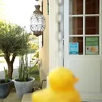فندق مبيت وإفطار Chateau Saint Martin 3*