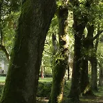 Chateau Saint Martin فندق مبيت وإفطار Pouillon