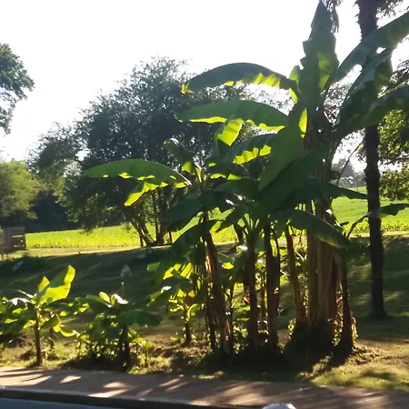 Chateau Saint Martin 3*