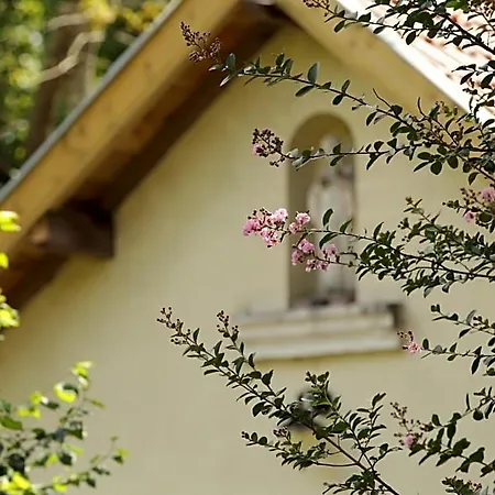 Chateau Saint Martin Bed & Breakfast 3*