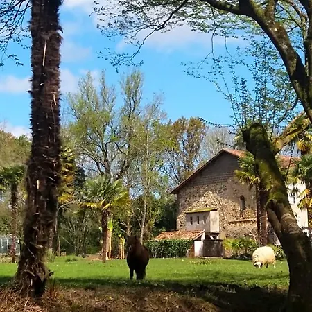 Chateau Saint Martin Bed and Breakfast 3*