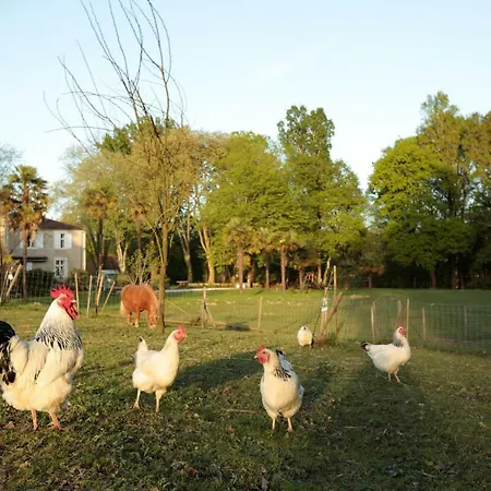 Bed & Breakfast Chateau Saint Martin 3*