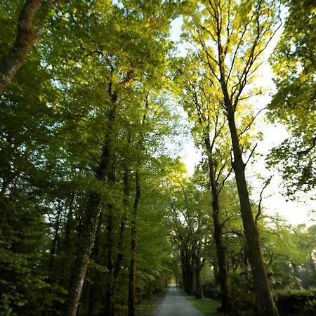 Chateau Saint Martin Pouillon