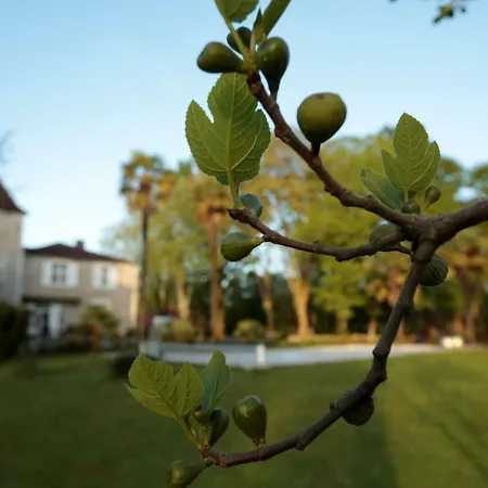 Chateau Saint Martin 3* Pouillon