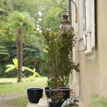 Chateau Saint Martin Bed & Breakfast