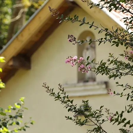 Chateau Saint Martin Pouillon