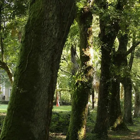 Chateau Saint Martin Couette-café Pouillon