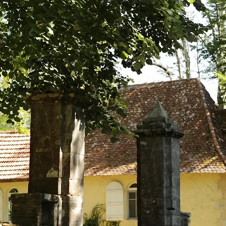 Chateau Saint Martin 3*