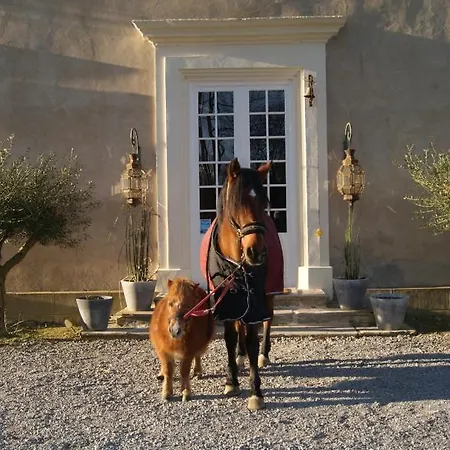 Chateau Saint Martin 3*