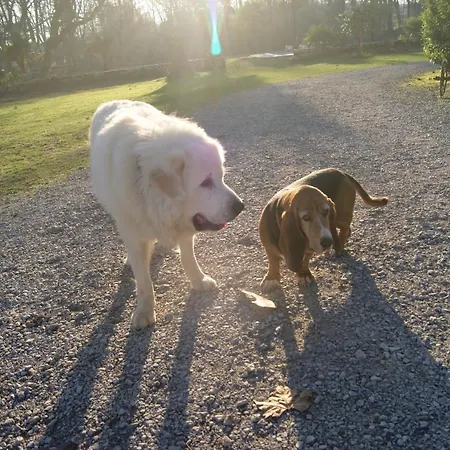 Chateau Saint Martin 3*