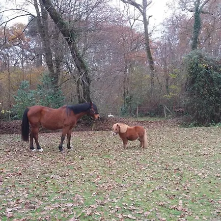 Chateau Saint Martin 3*