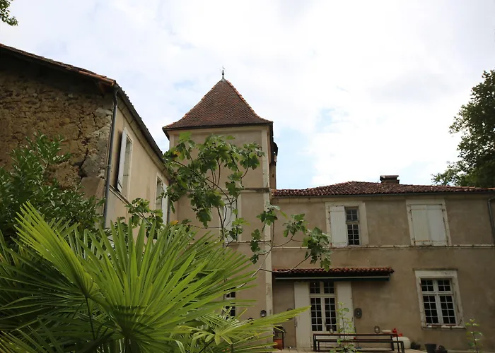Chateau Saint Martin 3*