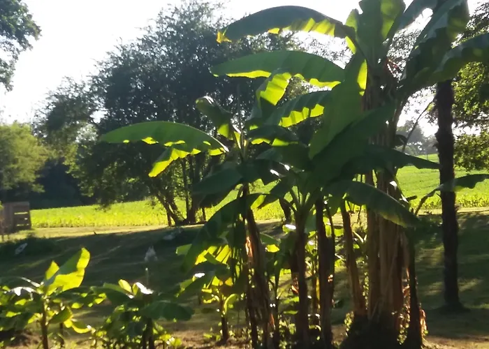 Chateau Saint Martin 3*