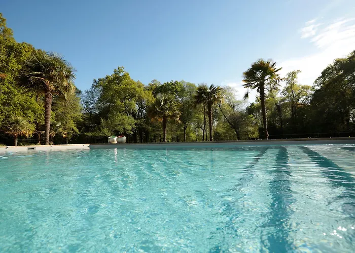 Chateau Saint Martin 3*