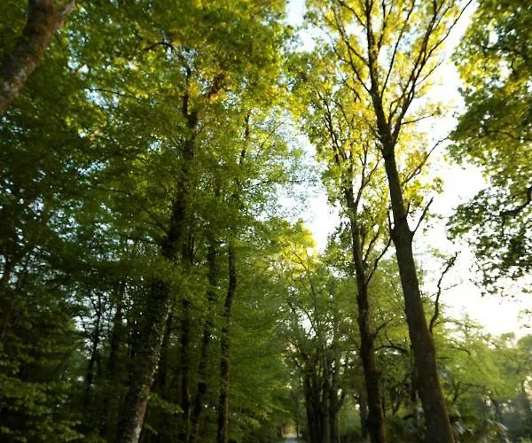 Chateau Saint Martin Pouillon