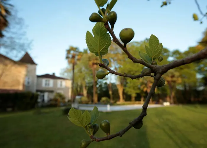 Chateau Saint Martin 3* Pouillon