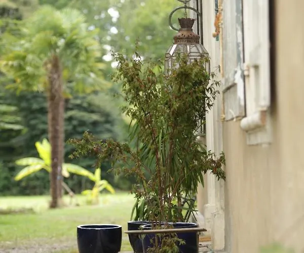 Chateau Saint Martin Отель типа 