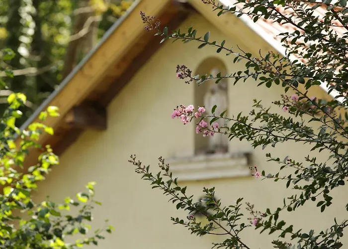 Chateau Saint Martin Pouillon