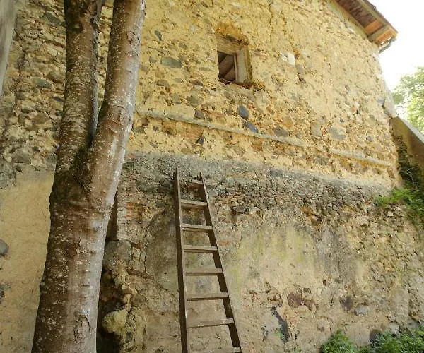 Chateau Saint Martin Отель типа 