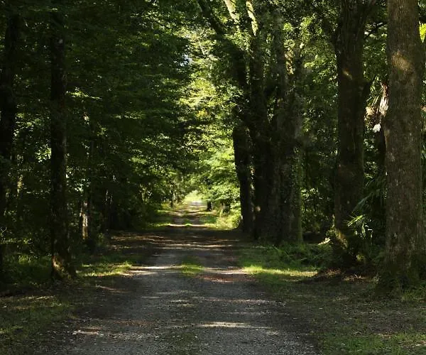 Chateau Saint Martin 3* Pouillon