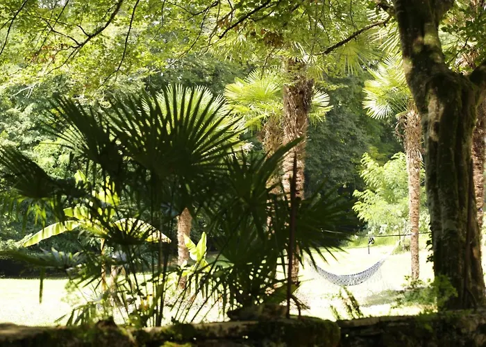 Couette-café Chateau Saint Martin