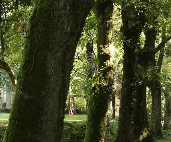 Chateau Saint Martin Отель типа 