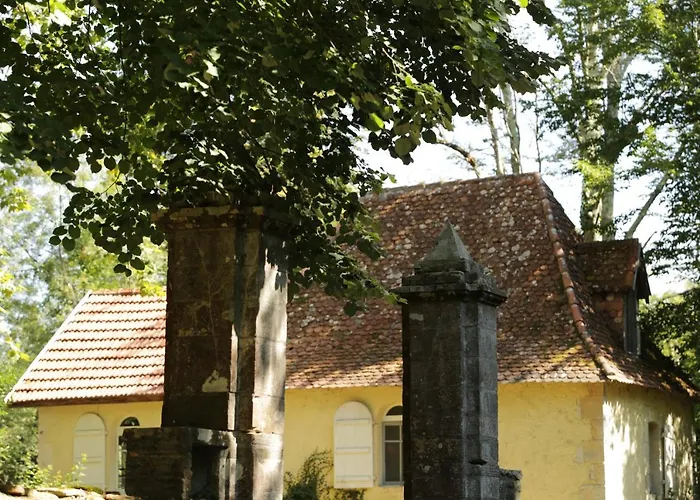 Chateau Saint Martin 3*