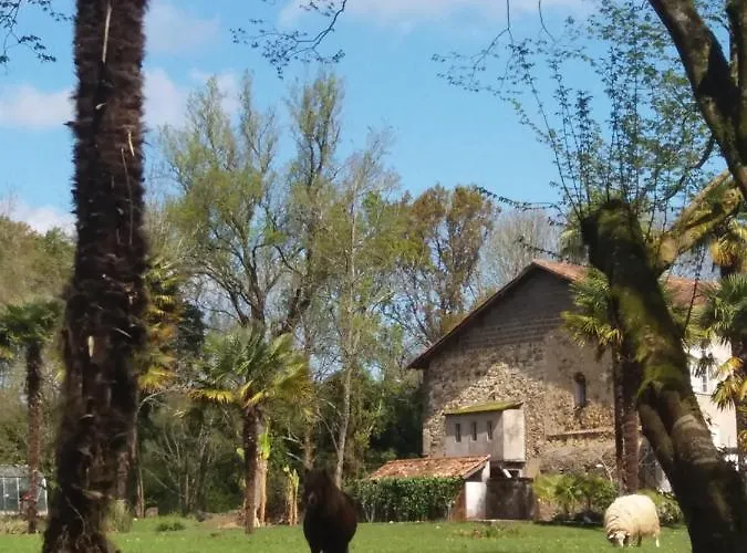 Alojamento de Acomodação e Pequeno-almoço Chateau Saint Martin Pouillon