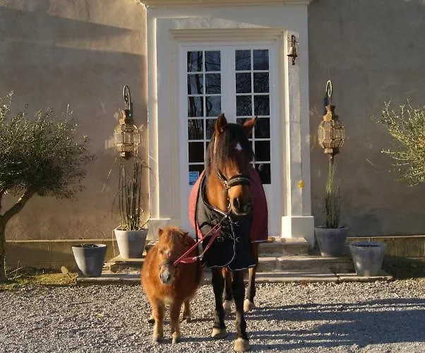 Chateau Saint Martin 3*