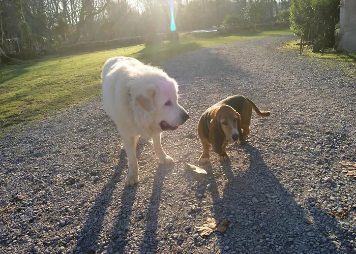 Chateau Saint Martin 3*